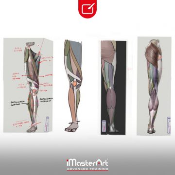 Studi di anatomia by Greta Schneeberger